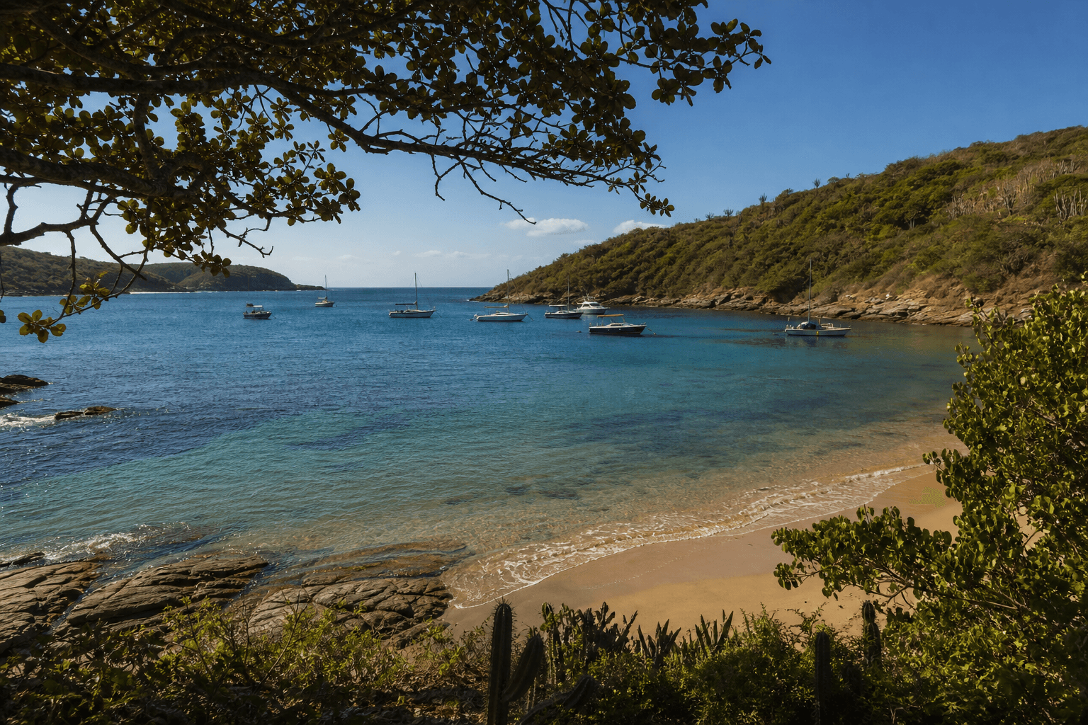Búzios catamarã, Búzios